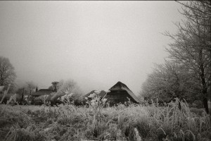 Hoar frost and a thatched library. Sussex, 2010 Hoar frost and a thatched library. Sussex, 2010